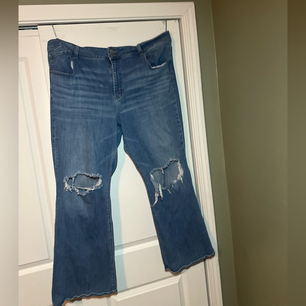 American Eagle Outfitters Hi-Rise Artist Flare